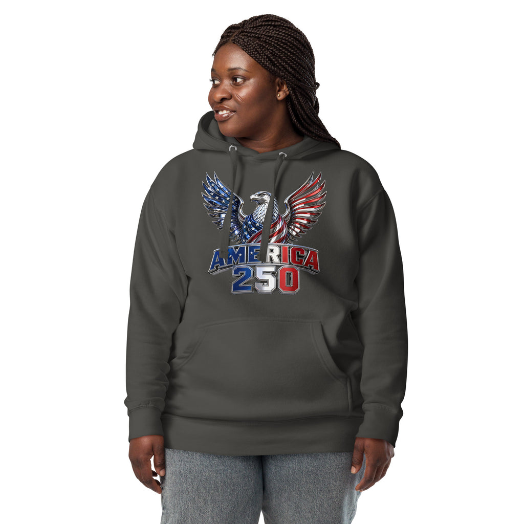 American 250 Unisex Hoodie — Vintage Black — front