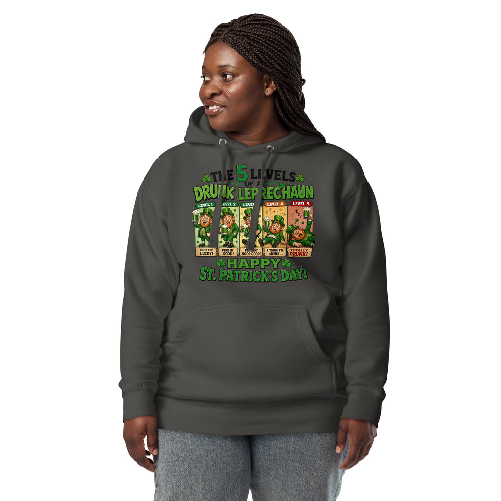 Five Levels of Leprechaun Unisex Hoodie — Vintage Black — front